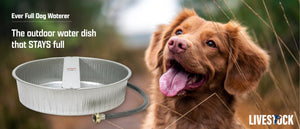   Self watering dog bowl by Everfull 