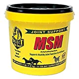 MSM Joint Support for Horses and Dogs-4lbs