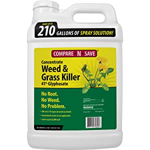 Compare-N-Save 41-percent Glyphosate concentrate